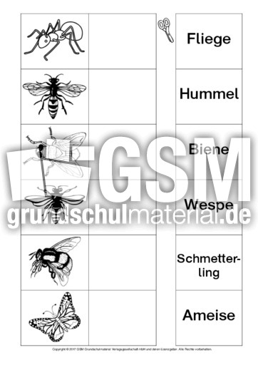 AB-Tiere-Zuordnung 4.pdf